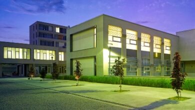 cankaya universitesi